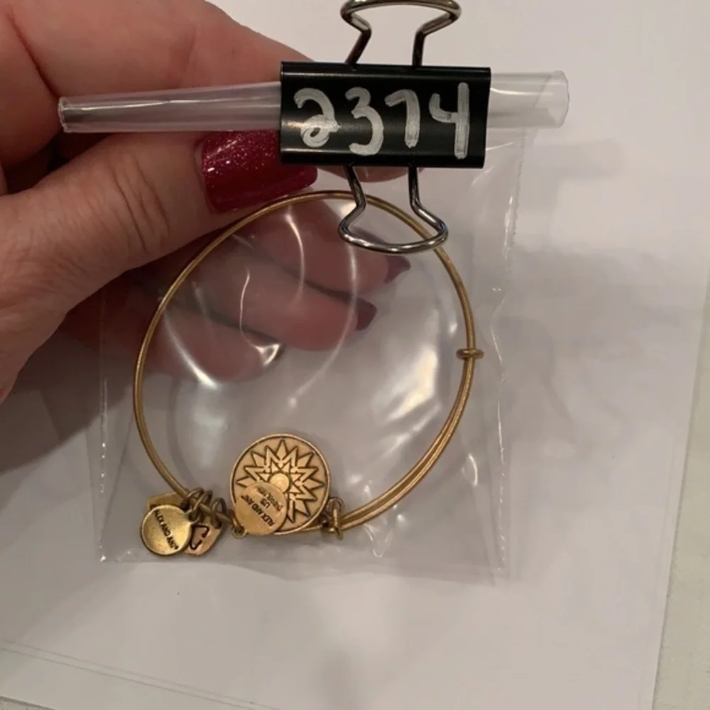 Alex and ani gold tone medallion 2016 sun